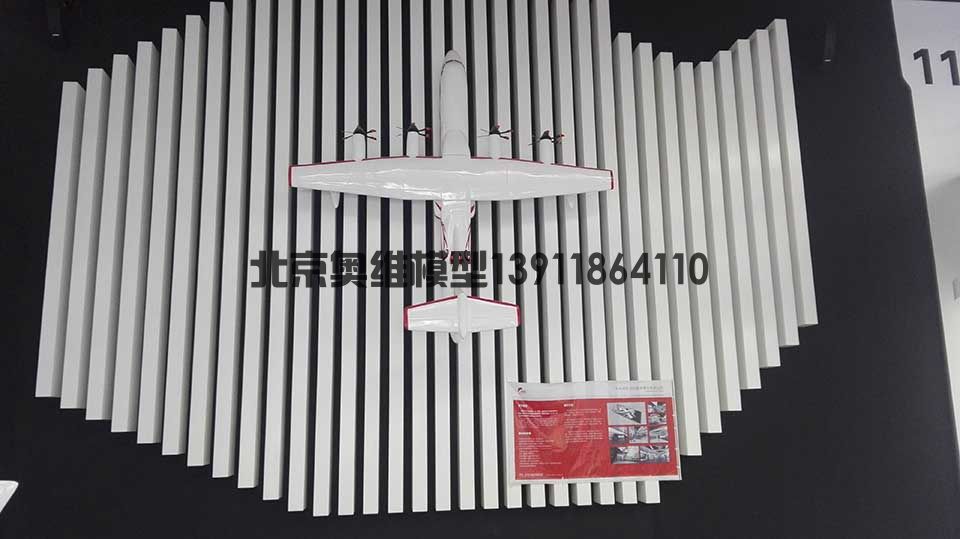 爱飞客展厅飞机模型